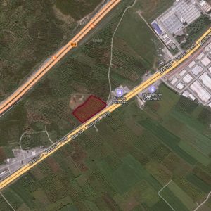 BURSA ORHANGAZİ'DE BURSA-YALOVA YOLUNA CEPHELİ 12.852 M2 ZEYTİNLİK